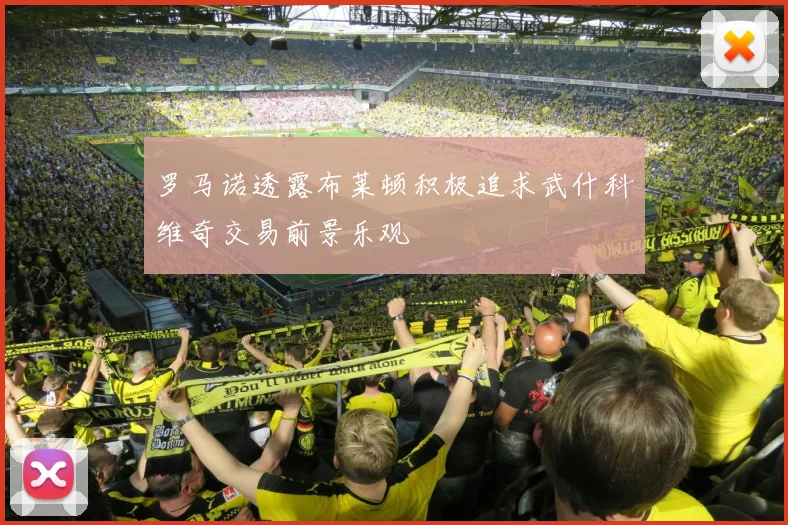 罗马诺透露布莱顿积极追求武什科维奇交易前景乐观