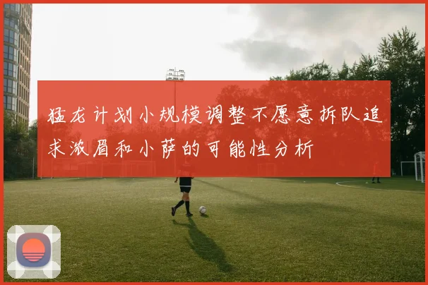 猛龙计划小规模调整不愿意拆队追求浓眉和小萨的可能性分析