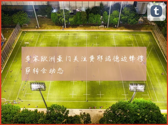 多家欧洲豪门关注费耶诺德边锋穆萨转会动态
